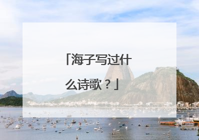 海子写过什么诗歌?