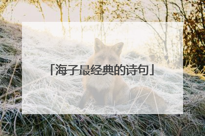 海子最经典的诗句