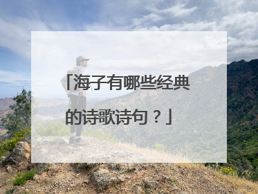 海子有哪些经典的诗歌诗句?