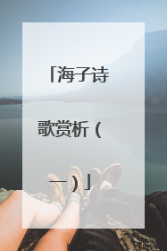 海子诗歌赏析(一)