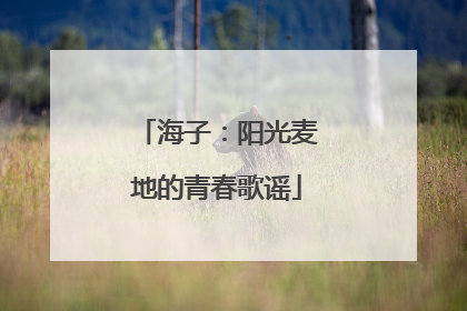 海子：阳光麦地的青春歌谣