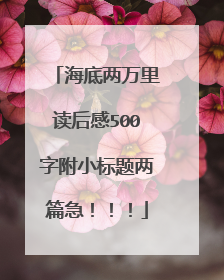 海底两万里读后感500字附小标题两篇急!!!
