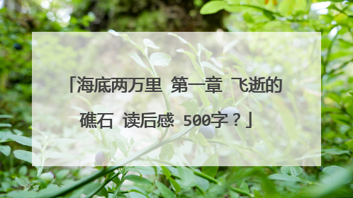 海底两万里 第一章 飞逝的礁石 读后感 500字?