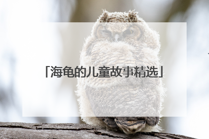 海龟的儿童故事精选