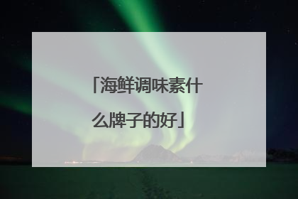 海鲜调味素什么牌子的好