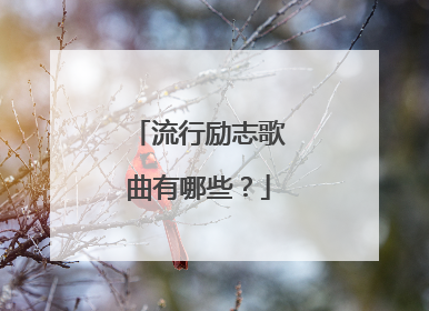 流行励志歌曲有哪些？