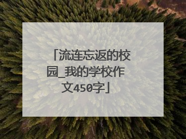 流连忘返的校园_我的学校作文450字