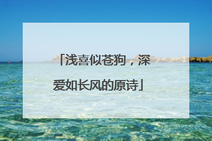 浅喜似苍狗，深爱如长风的原诗