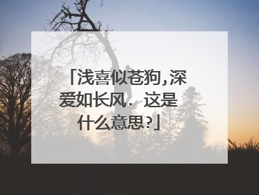 浅喜似苍狗,深爱如长风. 这是什么意思?