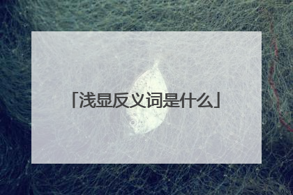 浅显反义词是什么
