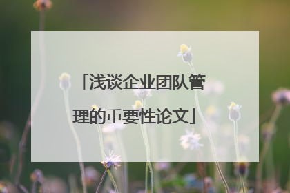 浅谈企业团队管理的重要性论文