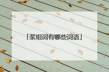 浆组词有哪些词语