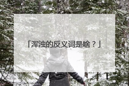 浑浊的反义词是啥？