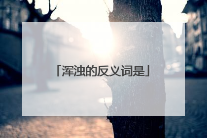 浑浊的反义词是