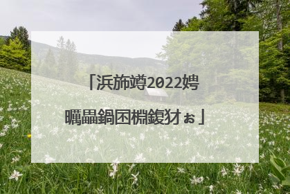 浜斾竴2022娉曞畾鍋囨棩鍑犲ぉ