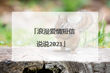 浪漫爱情短信说说2021