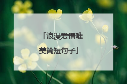 浪漫爱情唯美简短句子