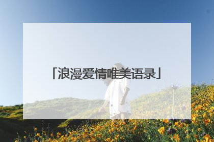 浪漫爱情唯美语录