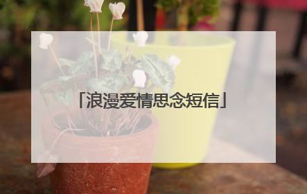 浪漫爱情思念短信