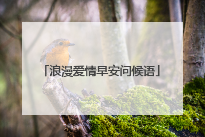 浪漫爱情早安问候语