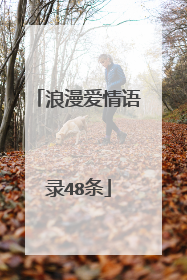 浪漫爱情语录48条