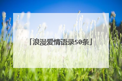 浪漫爱情语录50条