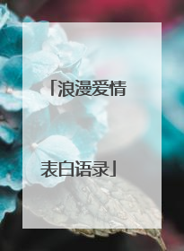 浪漫爱情表白语录