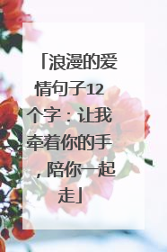 浪漫的爱情句子12个字:让我牵着你的手,陪你一起走