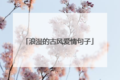 浪漫的古风爱情句子