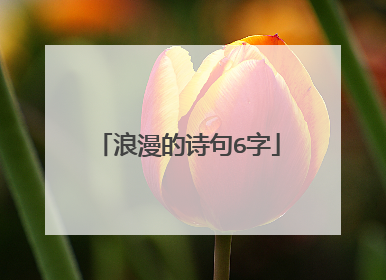 浪漫的诗句6字