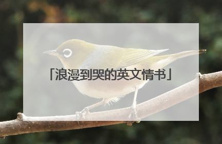 浪漫到哭的英文情书