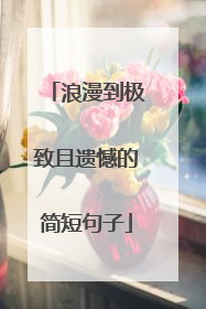 浪漫到极致且遗憾的简短句子