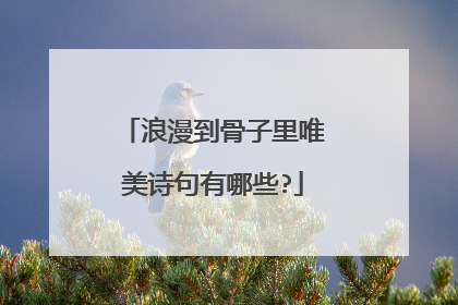 浪漫到骨子里唯美诗句有哪些?