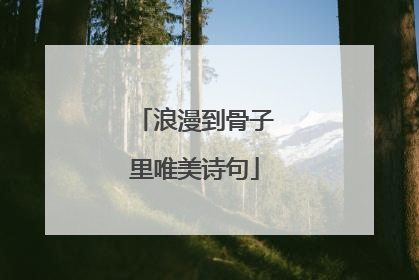 浪漫到骨子里唯美诗句