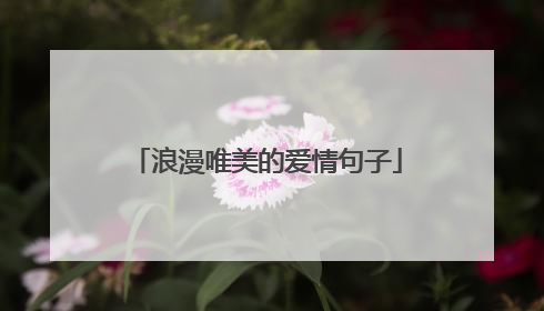 浪漫唯美的爱情句子