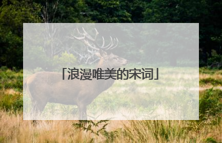 浪漫唯美的宋词