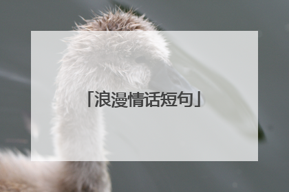 浪漫情话短句