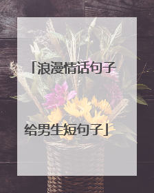 浪漫情话句子给男生短句子