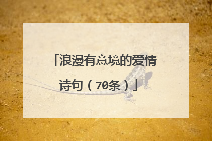 浪漫有意境的爱情诗句(70条)