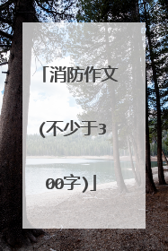 消防作文(不少于300字)