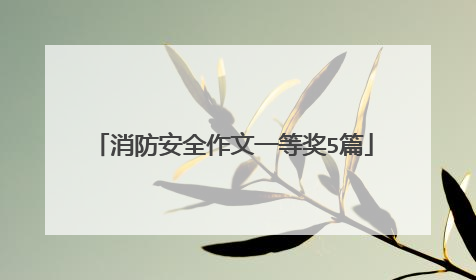 消防安全作文一等奖5篇