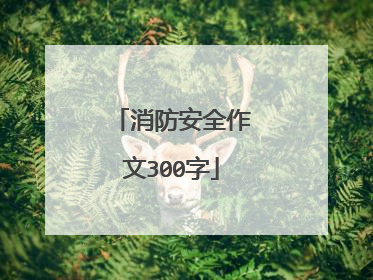 消防安全作文300字