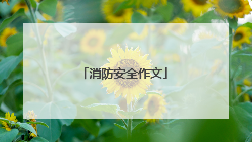 消防安全作文
