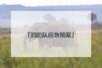 消防队应急预案