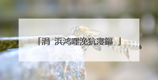 涓�浜鸿嚜浼犺寖鏂�