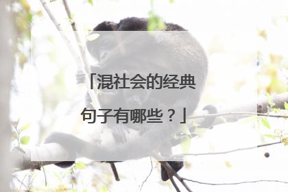 混社会的经典句子有哪些?