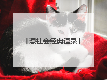 混社会经典语录