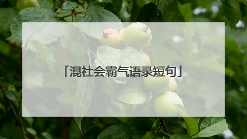 混社会霸气语录短句