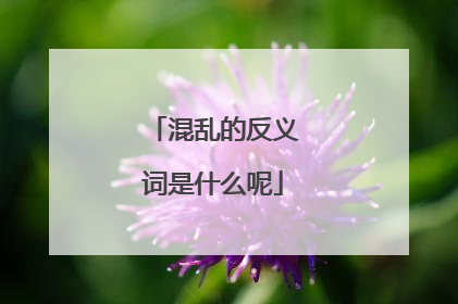 混乱的反义词是什么呢