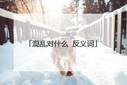 混乱对什么 反义词